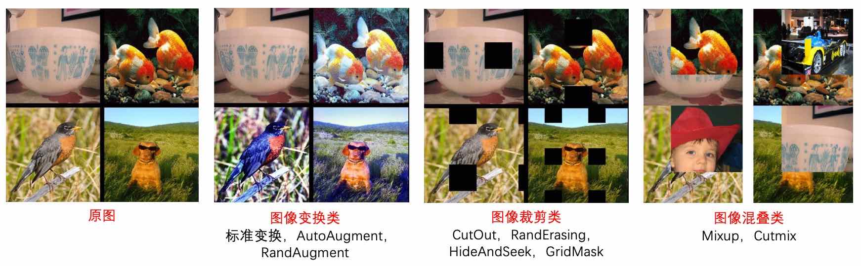 图2 数据增广后可视化